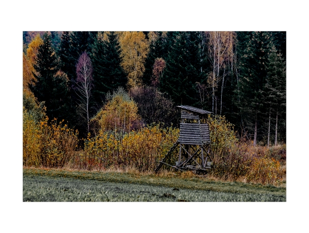 0514.jpg